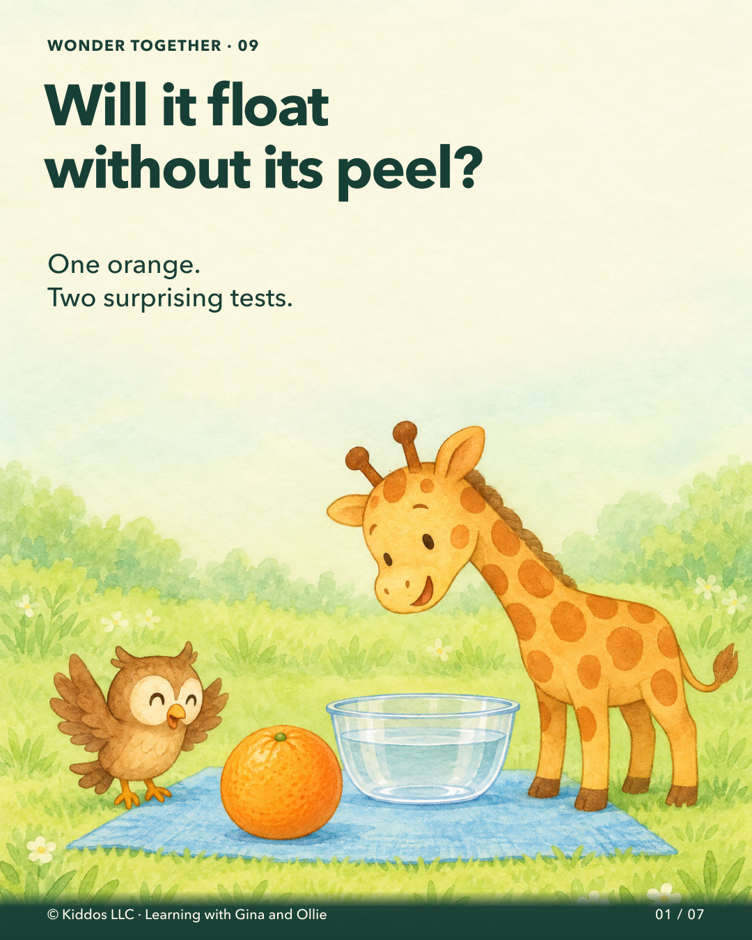Gina the yellow giraffe and her small brown owl friend Ollie look at a whole orange beside a clear bowl of water on a blue ground mat. The title asks whether it will float without its peel; the result is not yet shown.